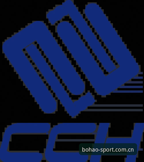 博澳体育平台观赛功能完整指南：从注册到流畅观赛的技术解析